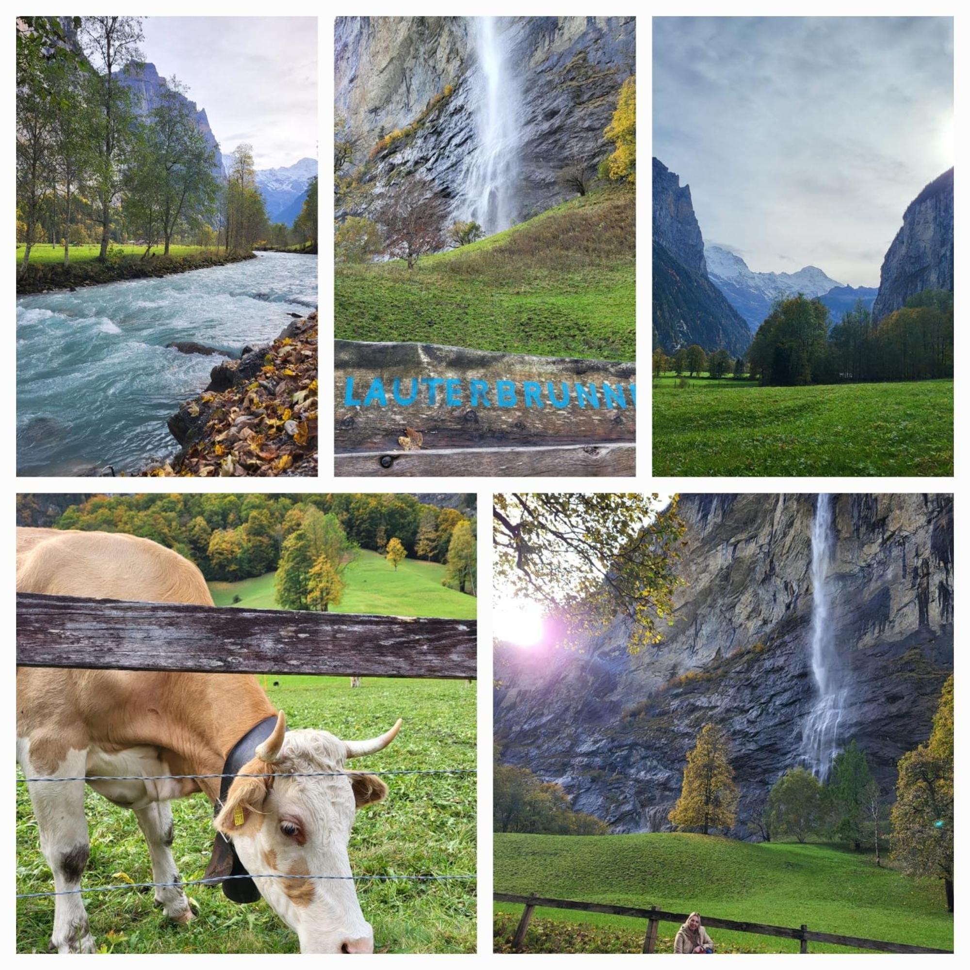 Ferienwohnung Sonnenseite Brienz เบรียนส์ ภายนอก รูปภาพ